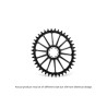 PLATO GARBARUK OVALADO DIRECT MOUNT AXS ROAD/GRAVEL (42T, BLACK)