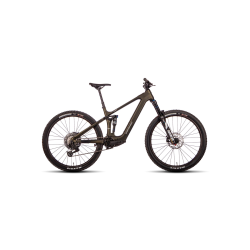 Bicicleta Steppenwolf...