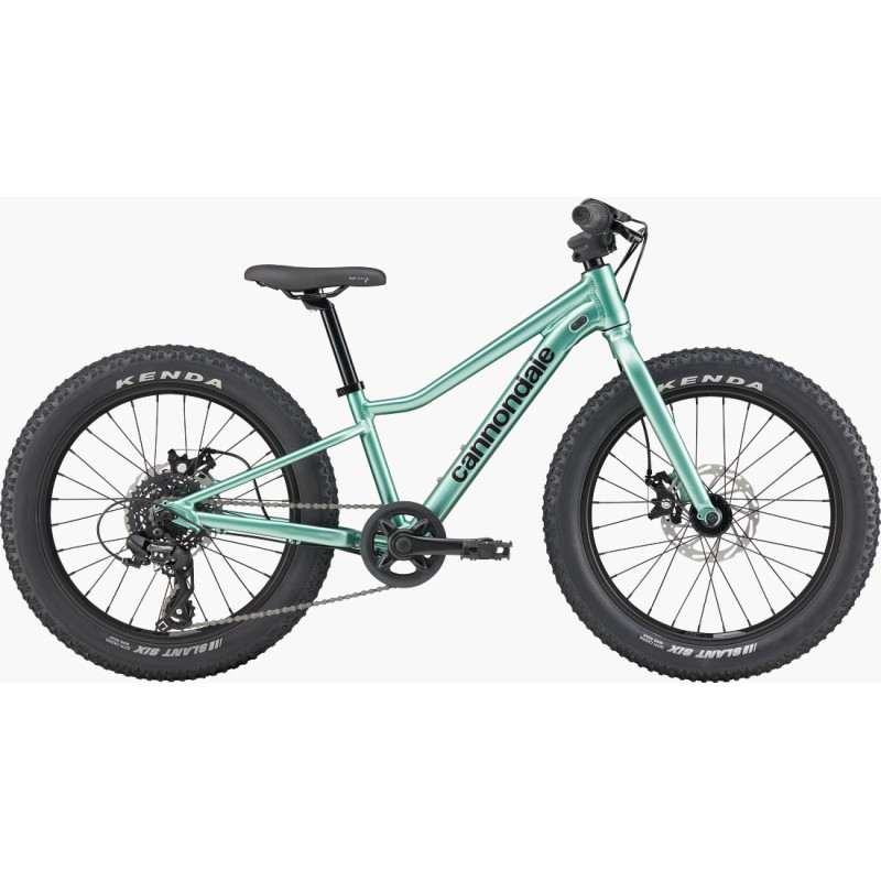 Bicicleta Cannondale Trail Plus 20"