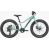 Bicicleta Cannondale Trail Plus 20"