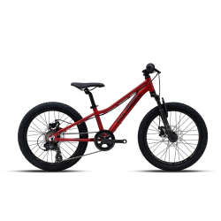 Bicicleta Polygon Relic 20