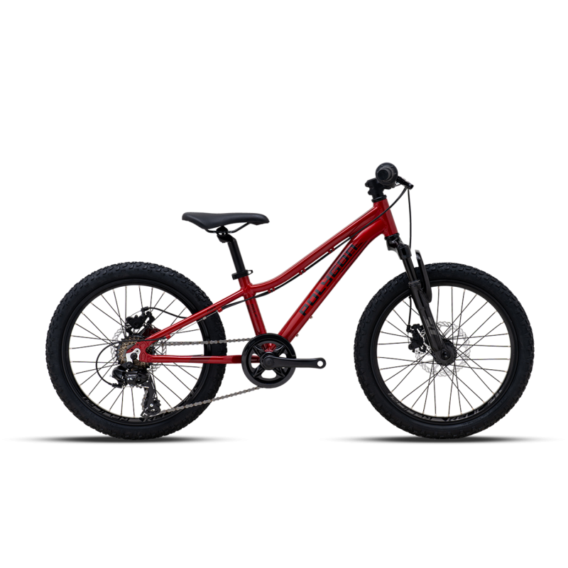 Bicicleta Polygon Relic 20