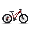 Bicicleta Polygon Relic 20