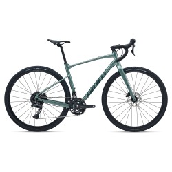 Bicicleta Giant Revolt 1
